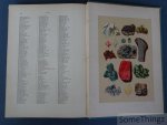 Hermann Wagner  en D. Horn (vertaling). - De natuurlijke historie : naar den vierden druk van "Wagner's Illustrierte Naturgeschichte". Met 306 gekleurde afbeeldingen naar aquarellen van W. Hoffmann en 282 houtgravures.