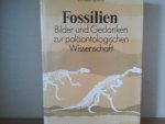 Wilhelm Schafer - Fossilien