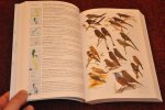 Kennedy, Robert S. / Gonzales, Pedro C. / e.a. - A Guide to the Birds of the Philippines Kennedy, Robert S. / Gonzales, Pedro C. / e.a. - A Guide to the Birds of the Philippines