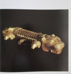 Vrieze, John -  Alexejev, A. - Het goud der Skythen. Schatten uit de Hermitage, Leningrad