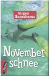 Jürgen Banscherus - Novemberschnee