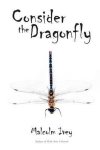 Malcolm Ivey - Consider the Dragonfly
