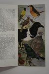 Urban, Emily K. - Shell Guide to Ethiopian Birds