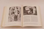 Shikes, Ralph E. - The Indignant eye. The artist as social critic in prints and drawings from the fifteenth century to Picasso (3 foto's)