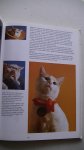 Stuyvenberg, W. van - Groot Kattenboek