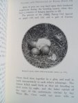 Kearton F.Z.S, Richard - Our Bird Friends, A book for all boys and girls