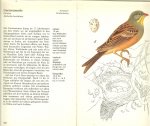 Felix J. Dr  met Illustrationen van K. Hisek - Vogel in garten und feld ..  Natur in farbe Met prachtige kleuren foto's