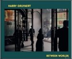Harry Gruyaert. Text by David Campany - HARRY GRUYAERT  Between Worlds  FR.