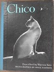 Tute, Warren - Chico, photographed by Felix Fonteyn