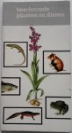 Schimmel, H J W - Beschermde planten en dieren.