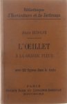 Rudolph Jules - L'Oeillet à  la grande fleur