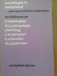 Rademaker - Sociologie in nederland / druk 1