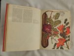 Barbara Everard - Brian D Morley; B. Everard - WILD FLOWERS of the World