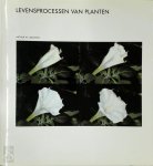 A.W. Galston - Levensprocessen van planten