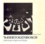 Martien Coppens - 's-Hertogenbosch  Onder de ogen en bogen van de Sint-Jan