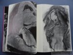 Marc Raes / Galerie Mahieu. - Marc Raes. Marc Raes / Galerie Mahieu. - Marc Raes.