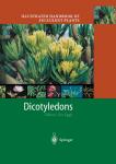 Urs Eggli - Illustrated Handbook of Succulent Plants: Dicotyledons / Dicotyledons