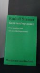 Steiner, R. - Genezend opvoeden. Over kinderen met een ontwikkelingsstoornis. GA 317.