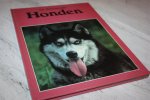 Plank, Bert - HONDEN
