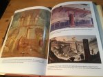 Butterworth, A & R Laurence - Pompeii - the Living City