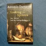 Antonio Damasio - Looking for Spinoza