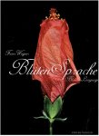WAGNER, Franz - Franz Wagner / Blüten Sprache / Blossoms Language.