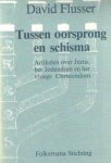 Flusser, David - Flusser, David-Tussen oorsprong en schisma