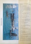 Deutsches Schiffahrtmuseum - Moderne Handelsschiffe. 12 Gemälde von Jochen Sachse
