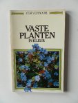 Verboom, Cor - Vaste planten in kleur