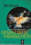 N.H.M. van Dam - Een praktijkgerichte benadering van organisatie & management