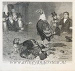  - [Antique print, game, engraving] Game Cock (Hanengevecht, cockfight), published 1831.