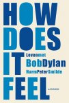 Harm Peter Smilde 220582 - How does it feel Leven met Bob Dylan
