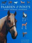 N.v.t., Tamsin Pickeral - Paarden & Pony's