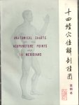  - Anatomical Charts of the Acupuncture Points and 14 Meridians