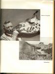 Schulz, Christoph .. Vertaald door G. A. H. Leenen met 38 afbeeldingen naar Origineele opnamen - Op dierenvangst in Afrika .. Jacht op groot wild.