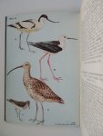 Sálim Ali - The book of Indian Birds