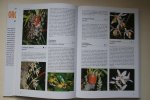 Jezek - encyclopedie: Geillustreerde Orchideeen Encyclopedie informatieve tekst met vele honderden schitterende kleurenfoto's