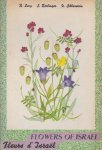 Levy ,B. -Berlinger,S. - Flowers of Israel