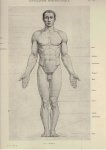 RICHER, Paul - Anatomie Artistique - Description des Formes Extérieures du Corps Humain - Au repos et dans les principaux movements.