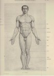 RICHER, Paul - Anatomie Artistique - Description des Formes Extérieures du Corps Humain - Au repos et dans les principaux movements.