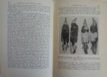 Salomonsen, Finn - edited by Ad. S. Jensen, W. Lundberg and T. Mortensen - Zoology of the Faroes LXIV: Aves