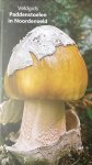 Cees Koelewijn - Veldgids Paddenstoelen in Noordenveld