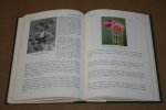 J.A. Janse - Succulenten (Cactussen en vetplanten)