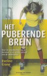 Crone, Eveline - Het puberende brein - Over de ontwikkeling van de hersenen in de unieke periode van de adolescentie - Waarom verslapen pubers zich zo vaak? Waarom zijn zij het ene moment zo volwassen en het volgende moment zo onmogelijk?