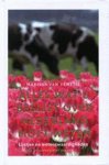 M. van Venetie - Alles wat u beslist over Nederland moet weten