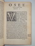 Haymonis Episcopi Halberstatten - In XII prophetas minores enarratio