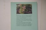 Oudshoorn, W. - biologie: De Mooiste Eenjarige Planten