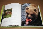 John Pezzenti - Shooting Bears -- The Adventures of a Wildlife Photographer