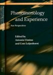 Antonio Cimino / Cees Leijenhorst (editors) - Phenomenology and Experience: New Perspectives