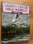 Hugo Kuipers - Watervogels